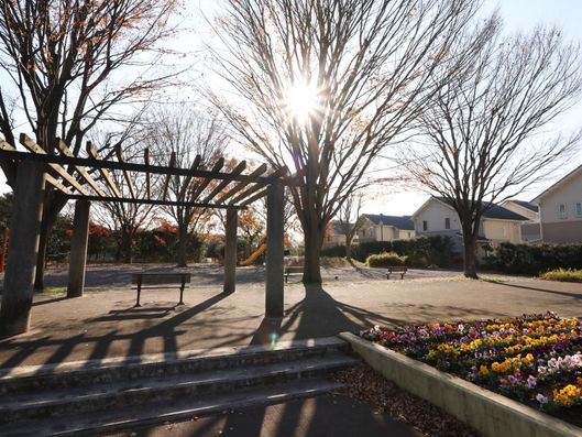 公園