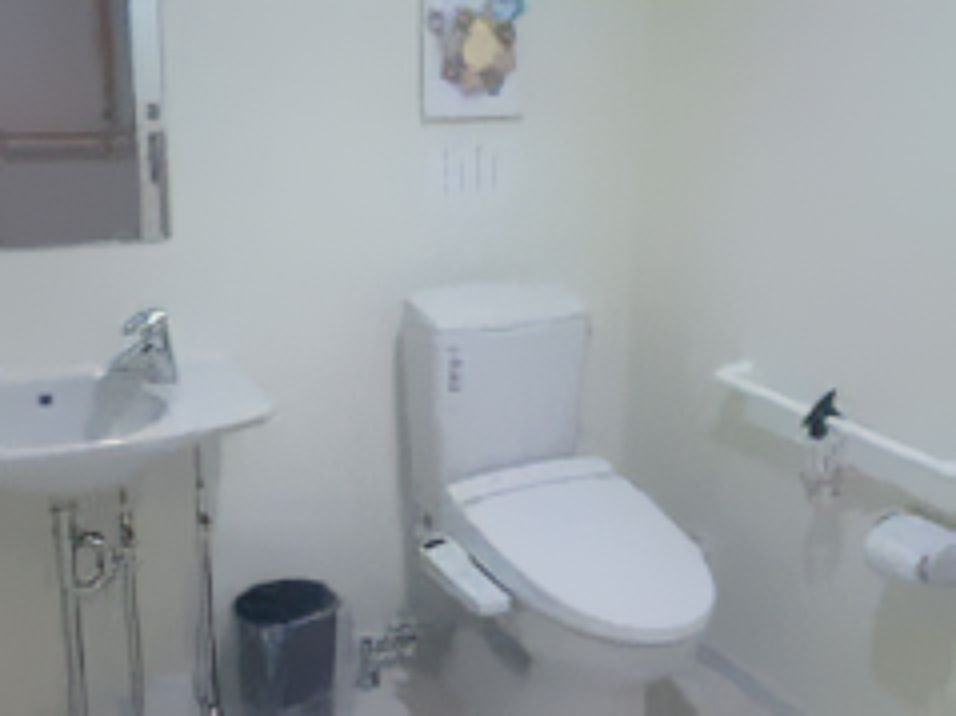 手すりが設置されたトイレにはゴミ場語や洗面所が付いていて、鏡もある。広く介助スペースもたっぷりある。