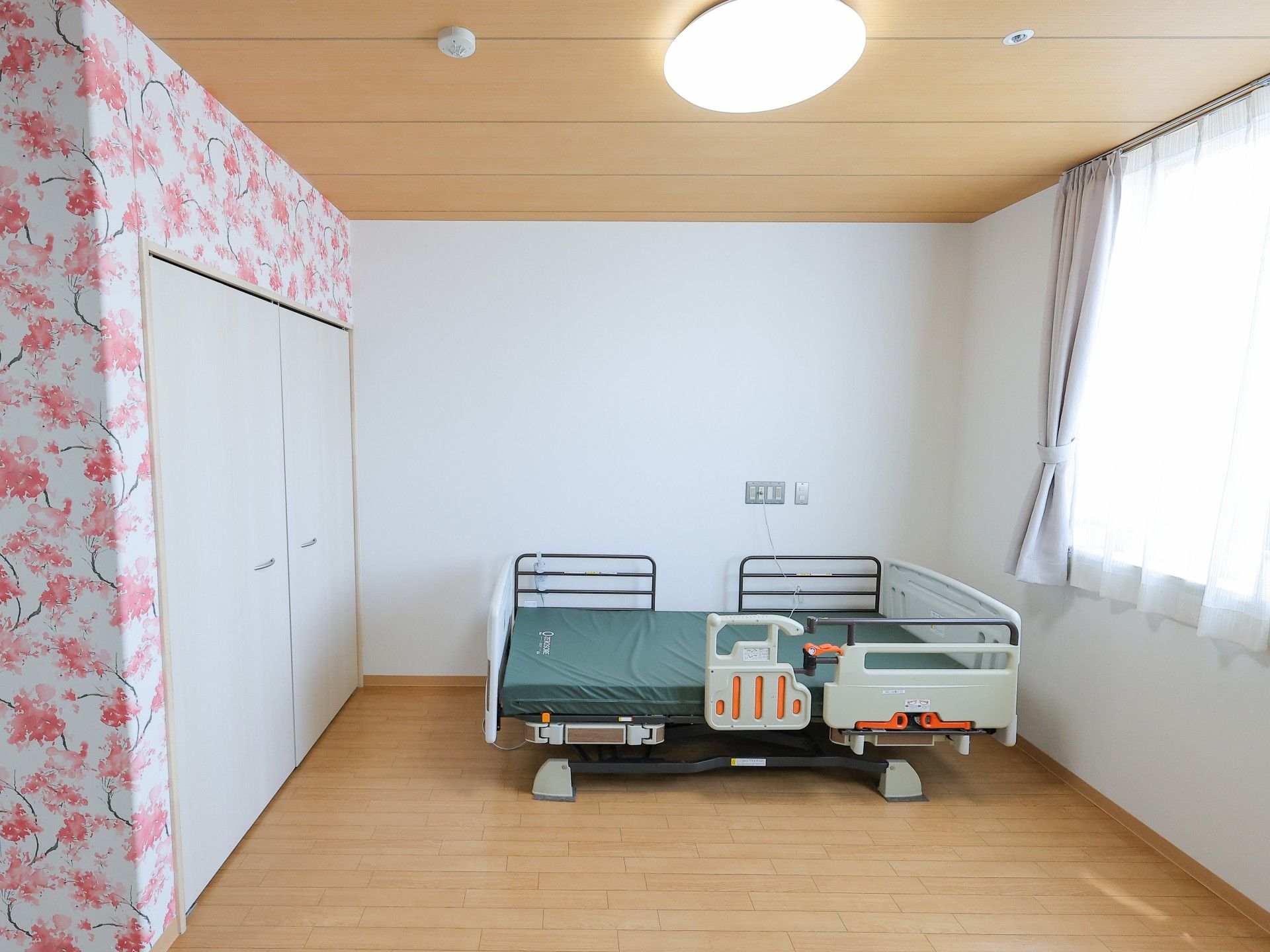 体操をする高齢女性と指導をする理学療法士の男性