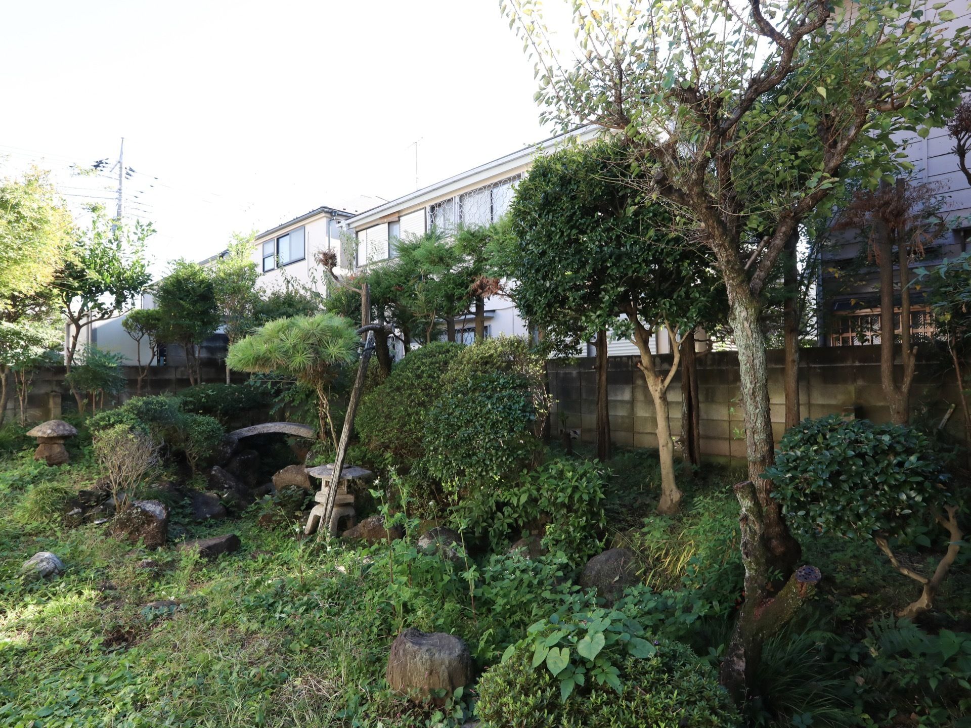 ブロック塀に囲まれた場所に、複数の種類の植物が植えられている。また、石の置物が数箇所に分けて置かれている。