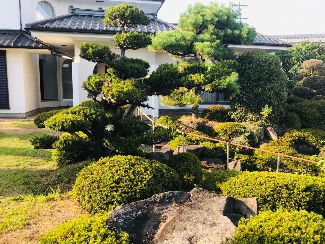 たくさんの木が植えられた庭には手すりが付き、一般家庭のような外観の建物がある。