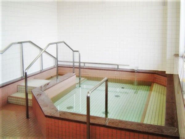 四角い湯舟にはお湯がたっぷり入り、階段を上って浴槽に入る仕組み。手すりも付いている。