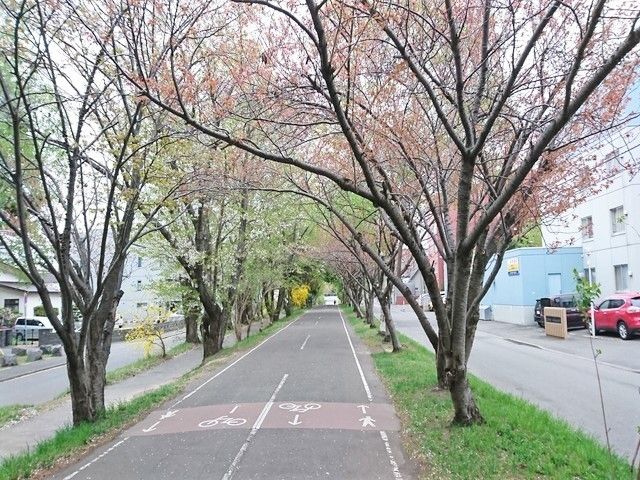 サービス付き高齢者向け住宅 南郷桜道の近隣には白石ここロードがある