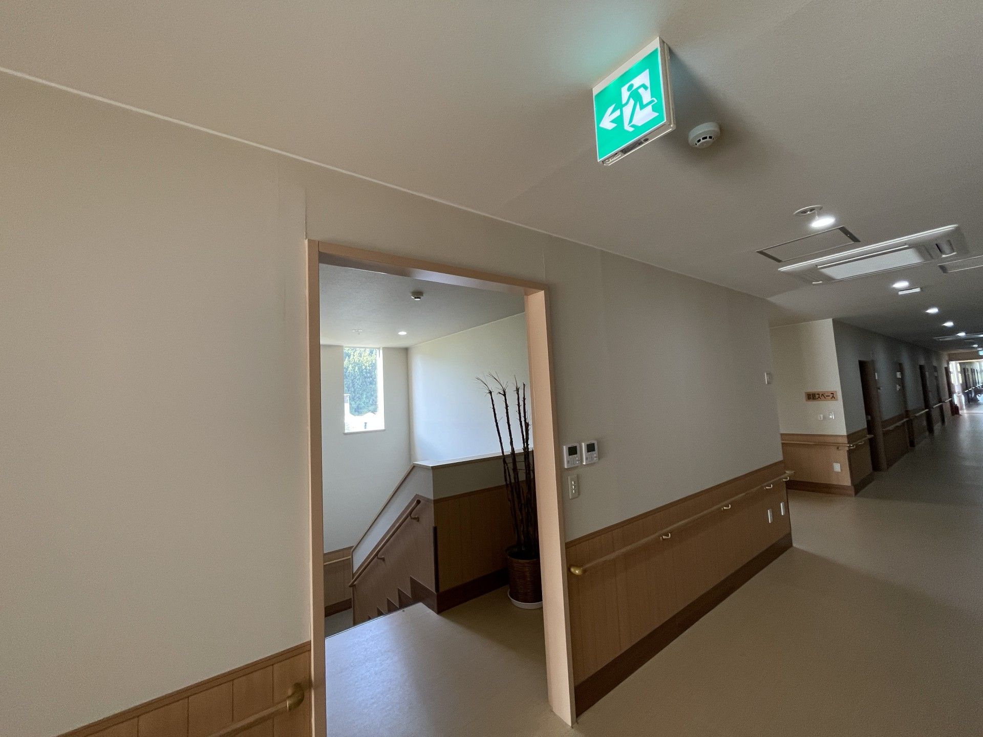 明るく広々とした廊下