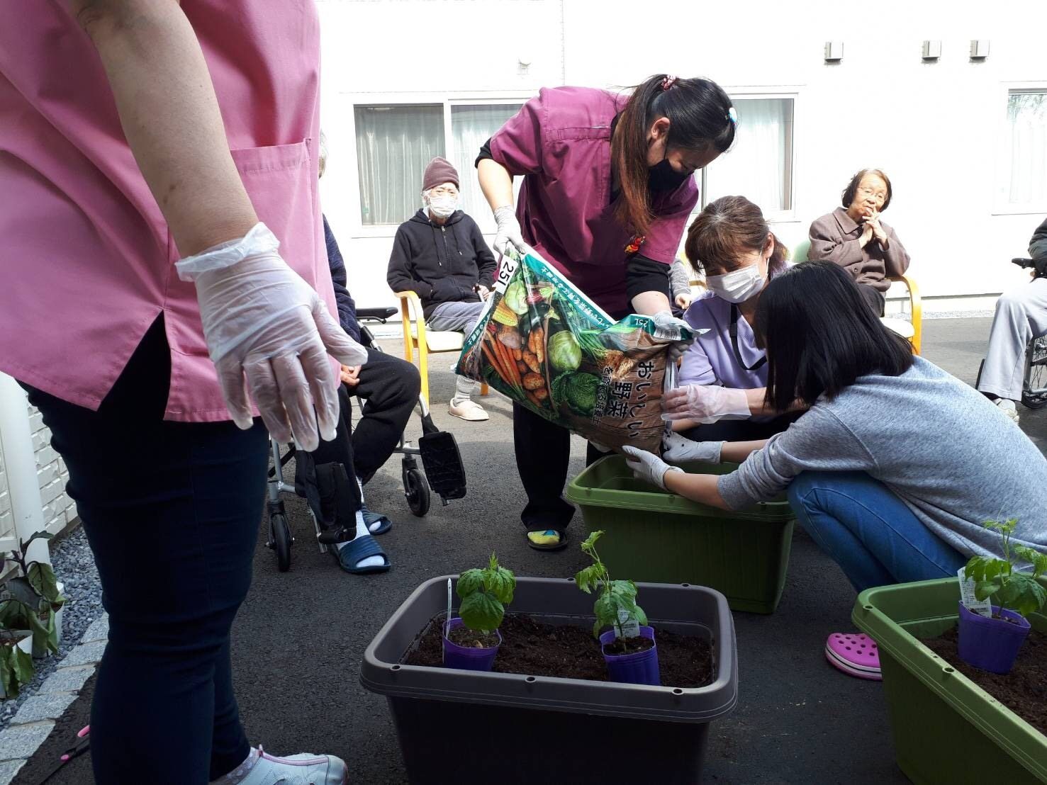 土をプラントに入れる人たち