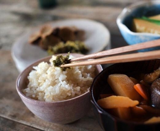 器に盛られた玄米ご飯と野菜の煮物