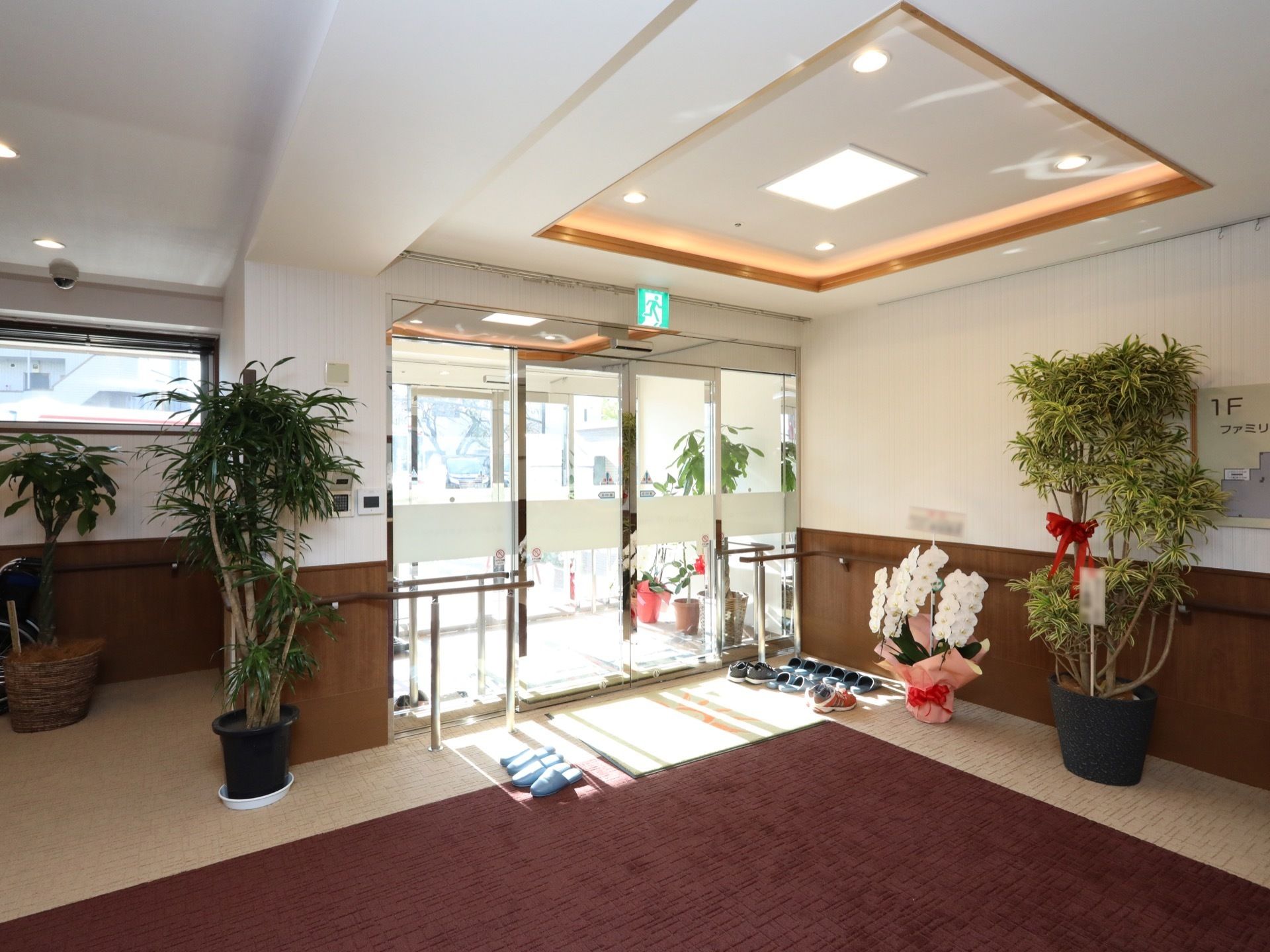 玄関のすぐ右側の壁の前に、胡蝶蘭とともに大きな観葉植物が置いてある。ドアの前に、スリッパや靴がある。