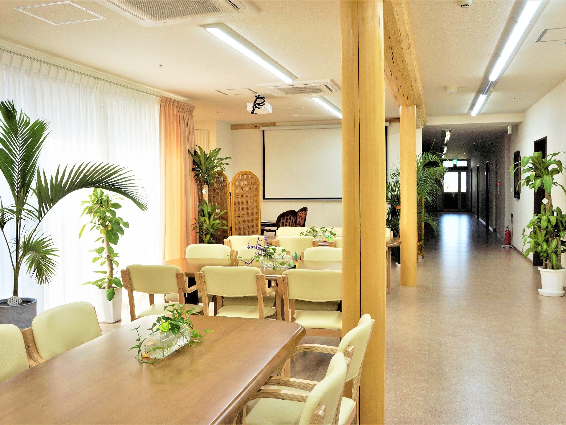 ダイニングテーブルが並んだ食堂は、落ち着いた雰囲気。館内には観葉植物がたくさん置かれている。