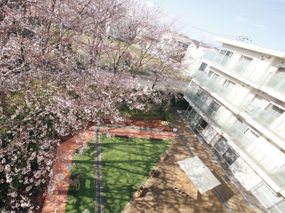 たくさんの桜の木が植えられた庭。桜の木の前にはパラソル付きのベンチなどもある。