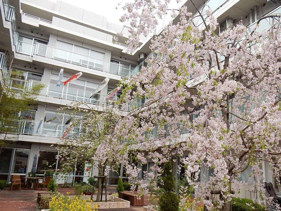 桜の花が咲く中庭には季節の花が植えられ、こいのぼりが泳いでいる。テーブルセットも置かれている。