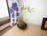 苔玉に長けが植えられたものが置かれているテーブルが窓際に置かれている。