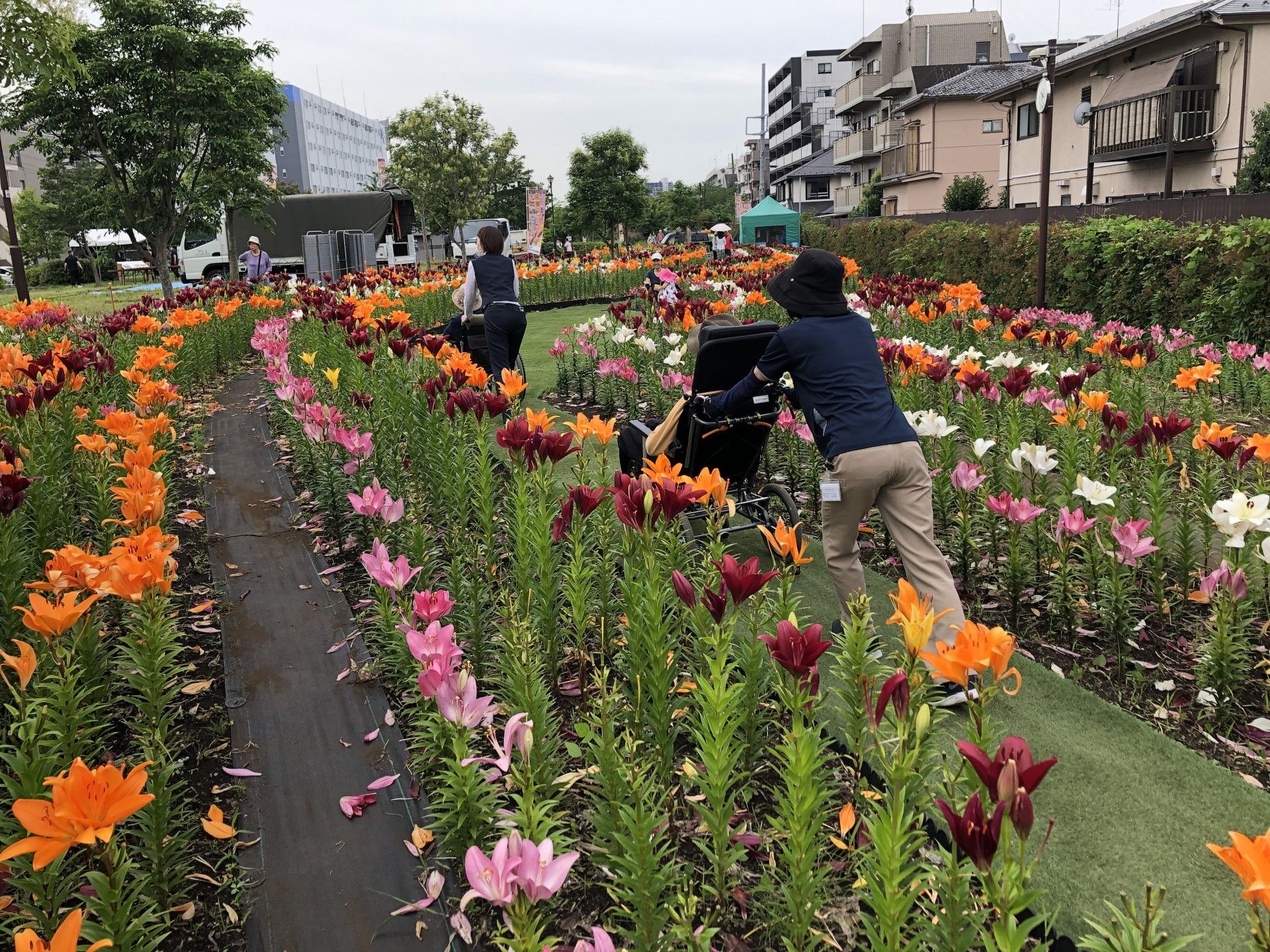 色とりどりの花畑の散策路