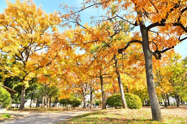 介護付有料老人ホーム あいらの杜 江戸川篠崎