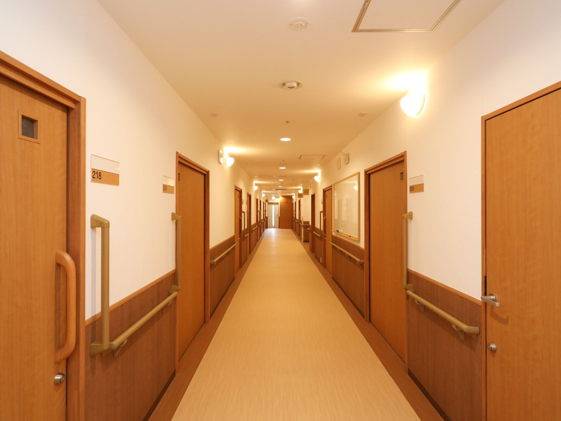 多数の照明が設置された明るい廊下である。幅を広く確保しており、両サイドの壁に手すりが付けられている