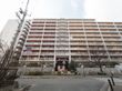 11階建ての高層のマンションになっている。建物は道路に面しており、正面には横断歩道が設置されている。