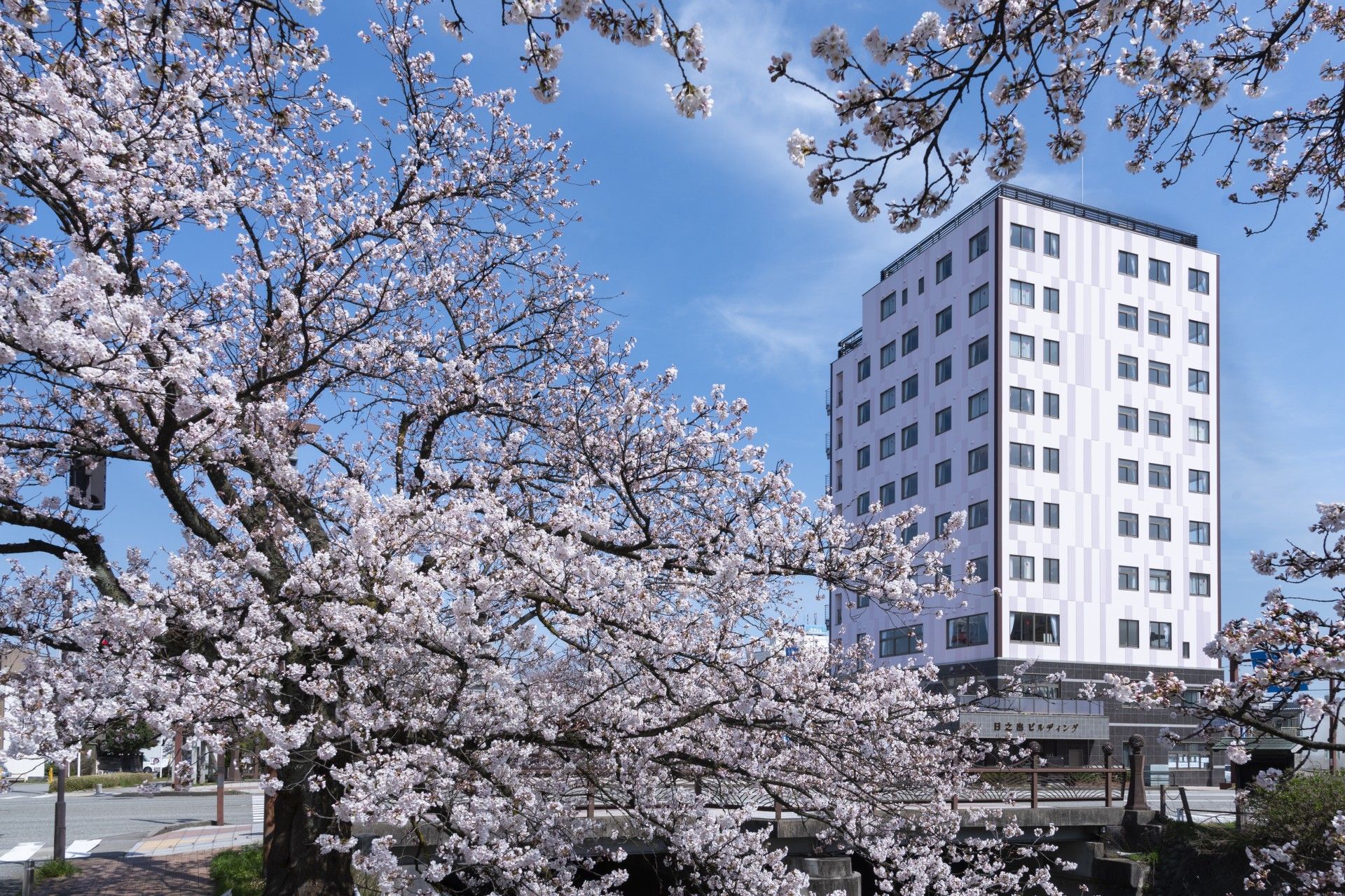高層ビルのような大きな建物は白を基調としていてさわやかな印象。周辺には緑も多い。
