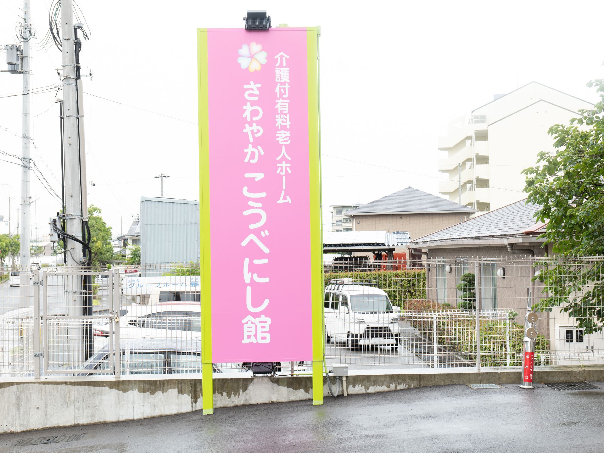 体操をする高齢女性と指導をする理学療法士の男性