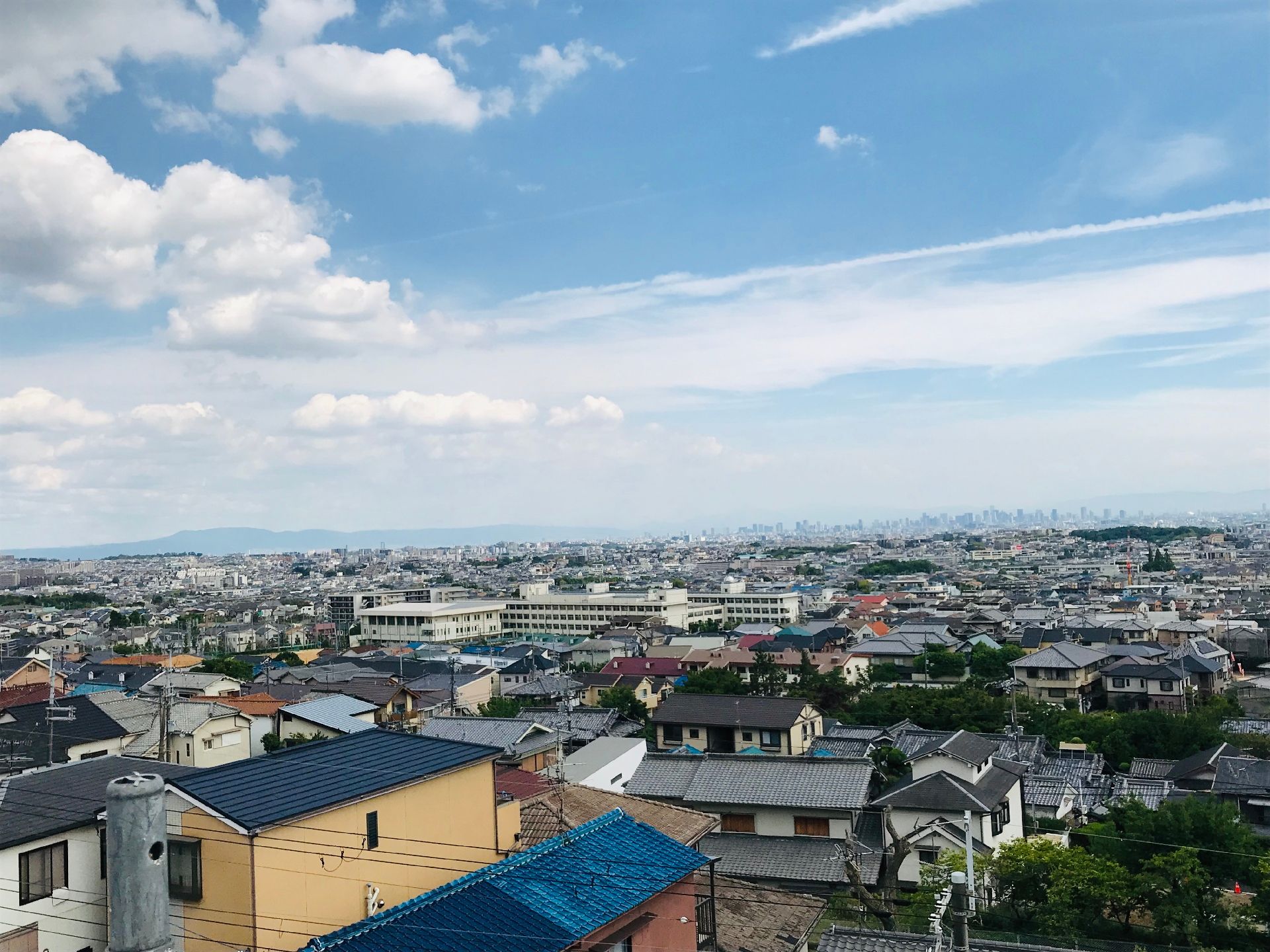 カーディガンを着た高齢女性が車いすに座り、白衣を着た女性スタッフが車いすを押している。