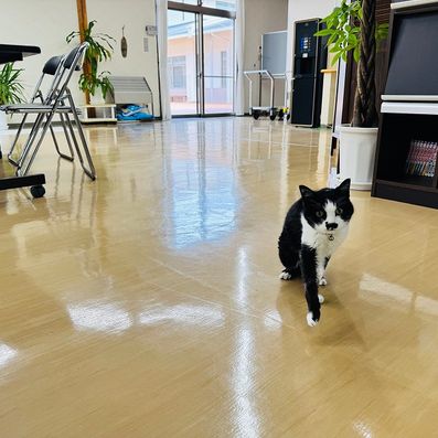 ラウンジ