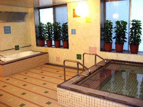 タイル張りの浴室には大きな浴槽があり、手すりが設けられているので安全に入浴できる。窓際には鉢植えの植物も置かれている。