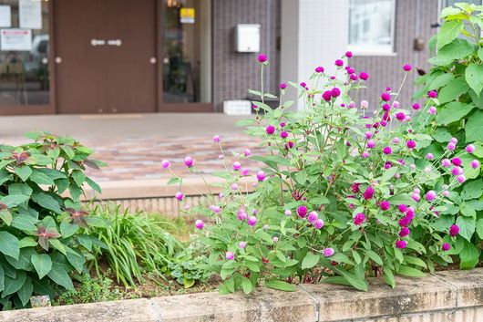 外観エントランス