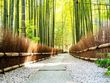 介護付有料老人ホーム あいらの杜鎌倉浄明寺