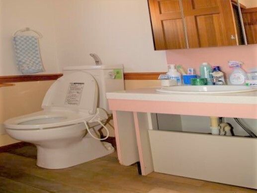 温水洗浄便座が設置された広いトイレには大きな鏡が付いた洗面所もあり、壁にはタオル掛けが付いている。