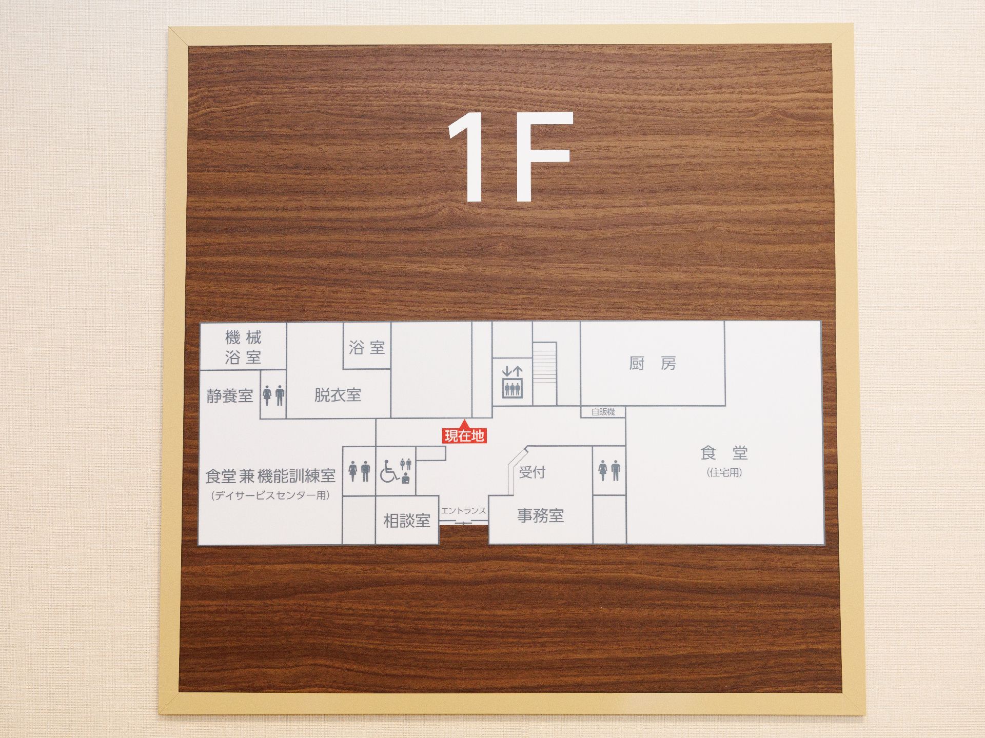 館内案内図