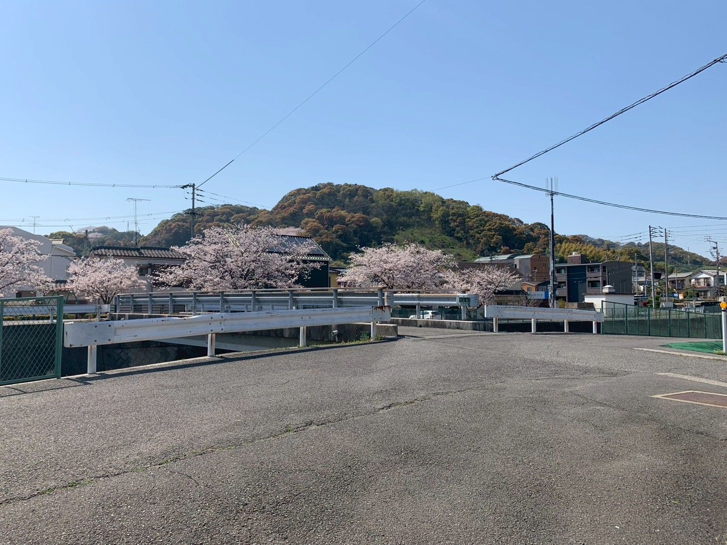 桜並木のある風景
