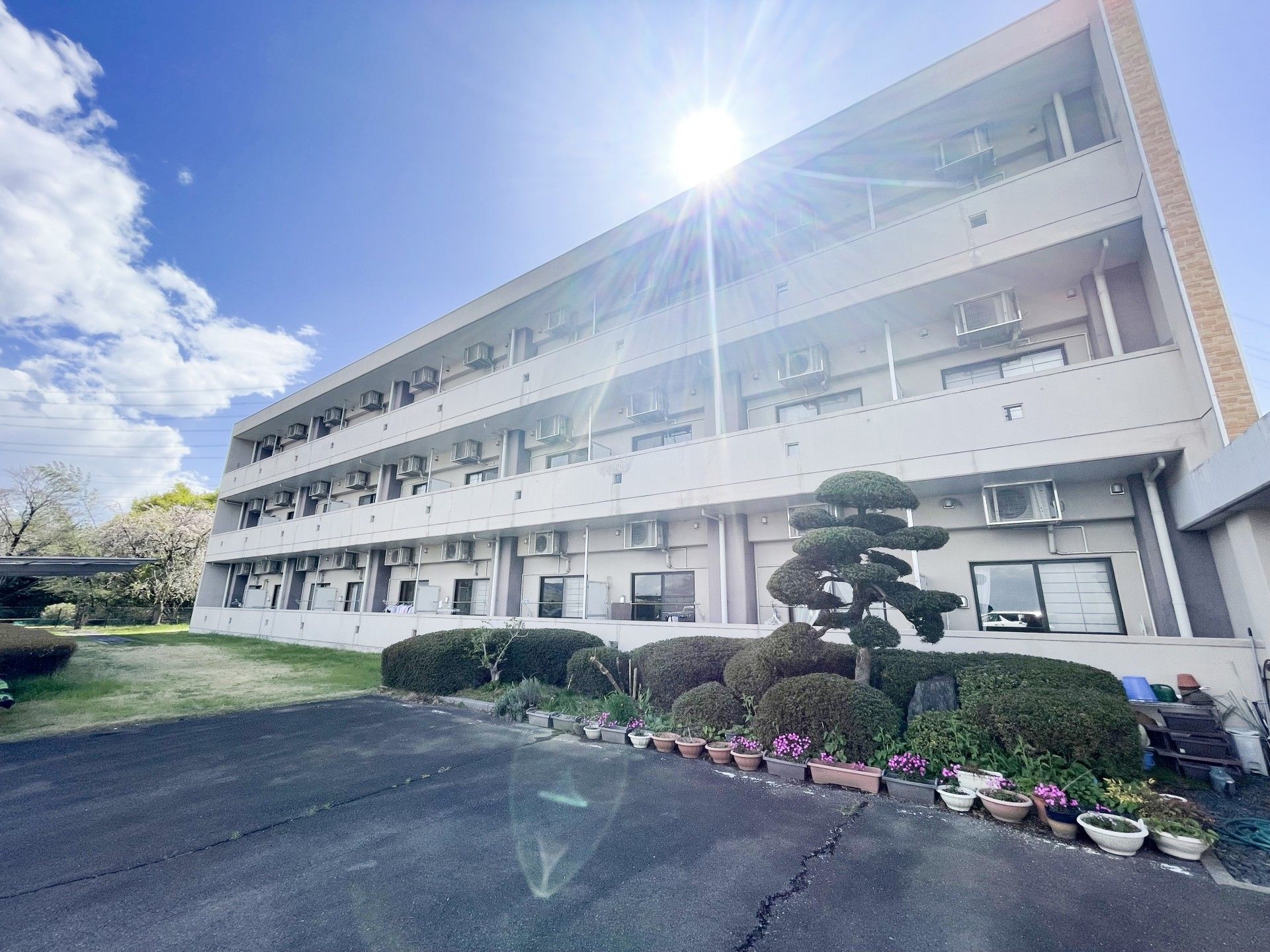日差しが差し込む建物外観