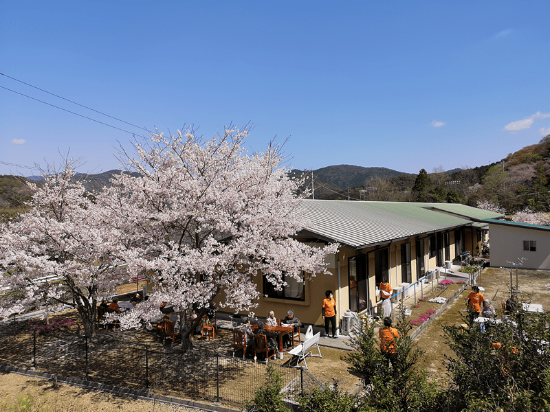 桜の下で過ごすひととき