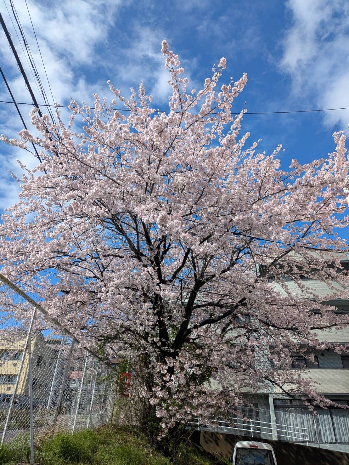 エデンの園北山
