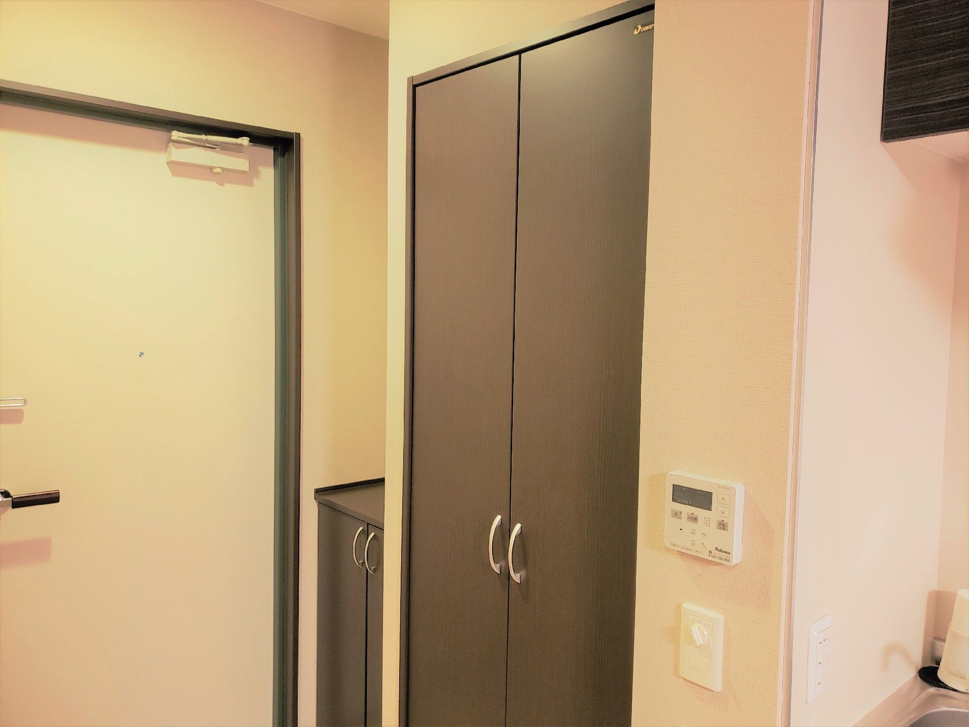 濃い色合いのドアがついた施設内の収納スペース。部屋の中にある収納