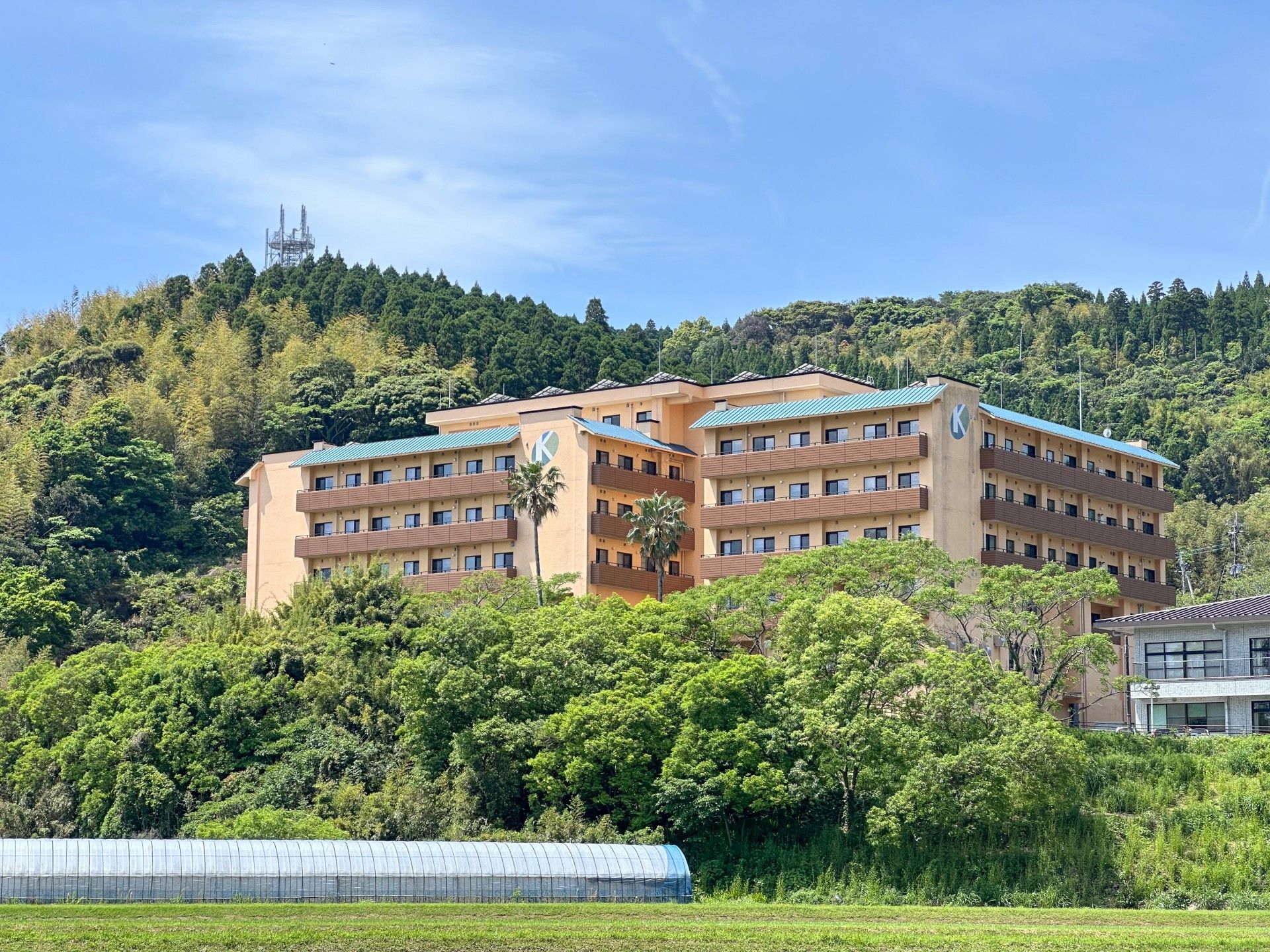緑に囲まれた建物