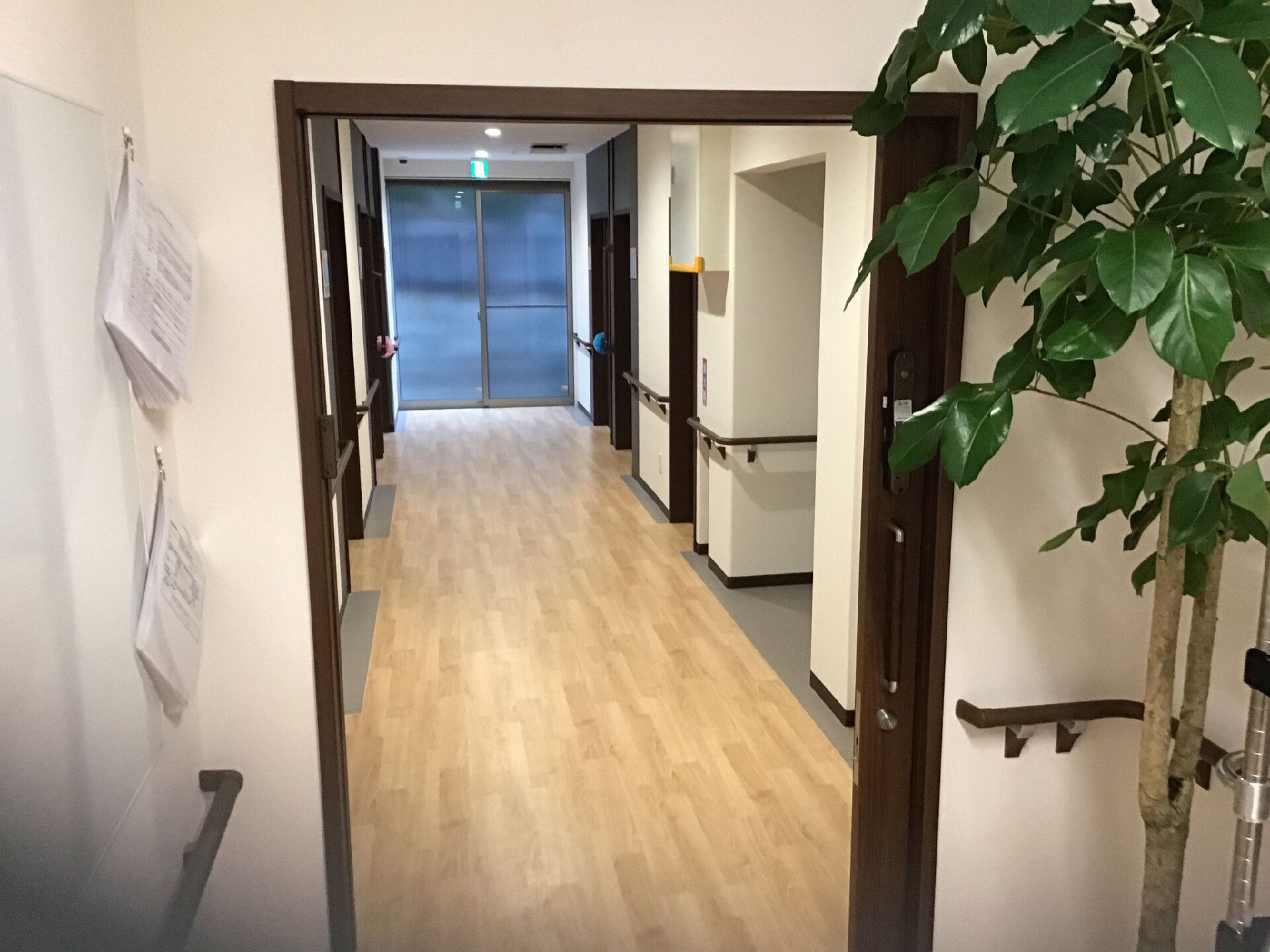 まっすぐな廊下の両サイドに居室のドアがあり、手前の入り口には観葉植物が置かれている。