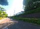 緑豊かな散策路
