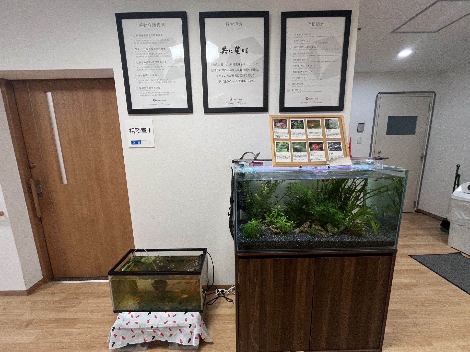 水槽と掲示物のある廊下