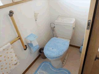 青いトイレカバーが付いた一般家庭と同じような広さのトイレ。壁には手すりがあり、呼び出しボタンも付き、出入り口には引き戸が付いている。