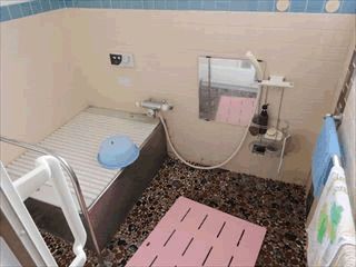ステンレス製の浴槽のそばには手すりが設置され、シャワーの横には鏡があり、洗い場にはピンクの滑り止めマットが敷かれている。