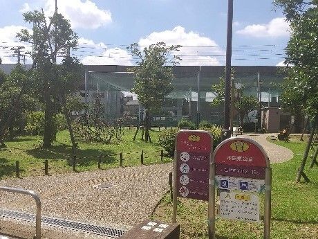 遊歩道や植物がある本田東公園