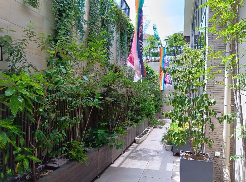 敷地内に通路が整備され、庭木を見ながら散歩を楽しめる中庭