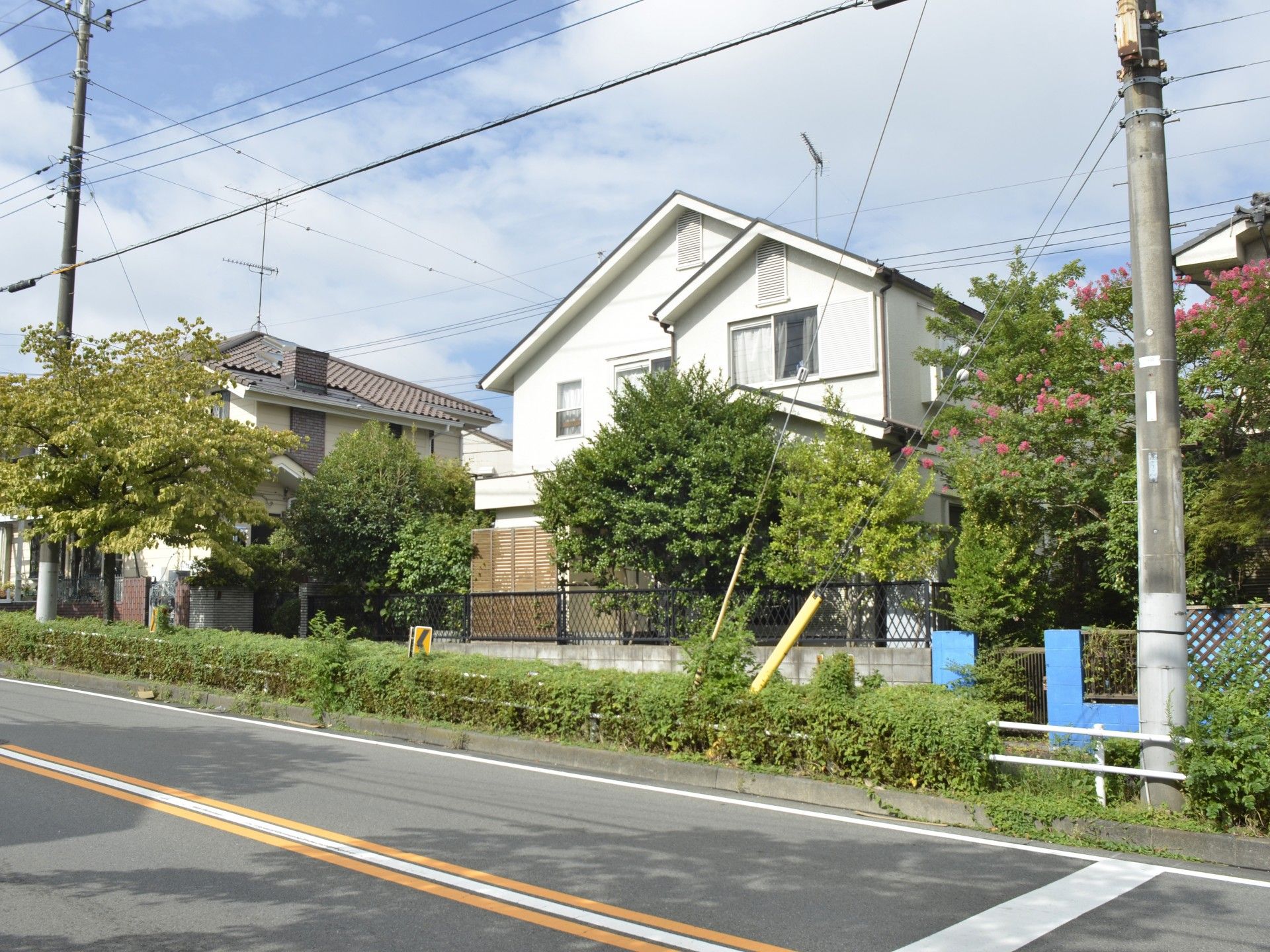 緑に囲まれた建物の外観