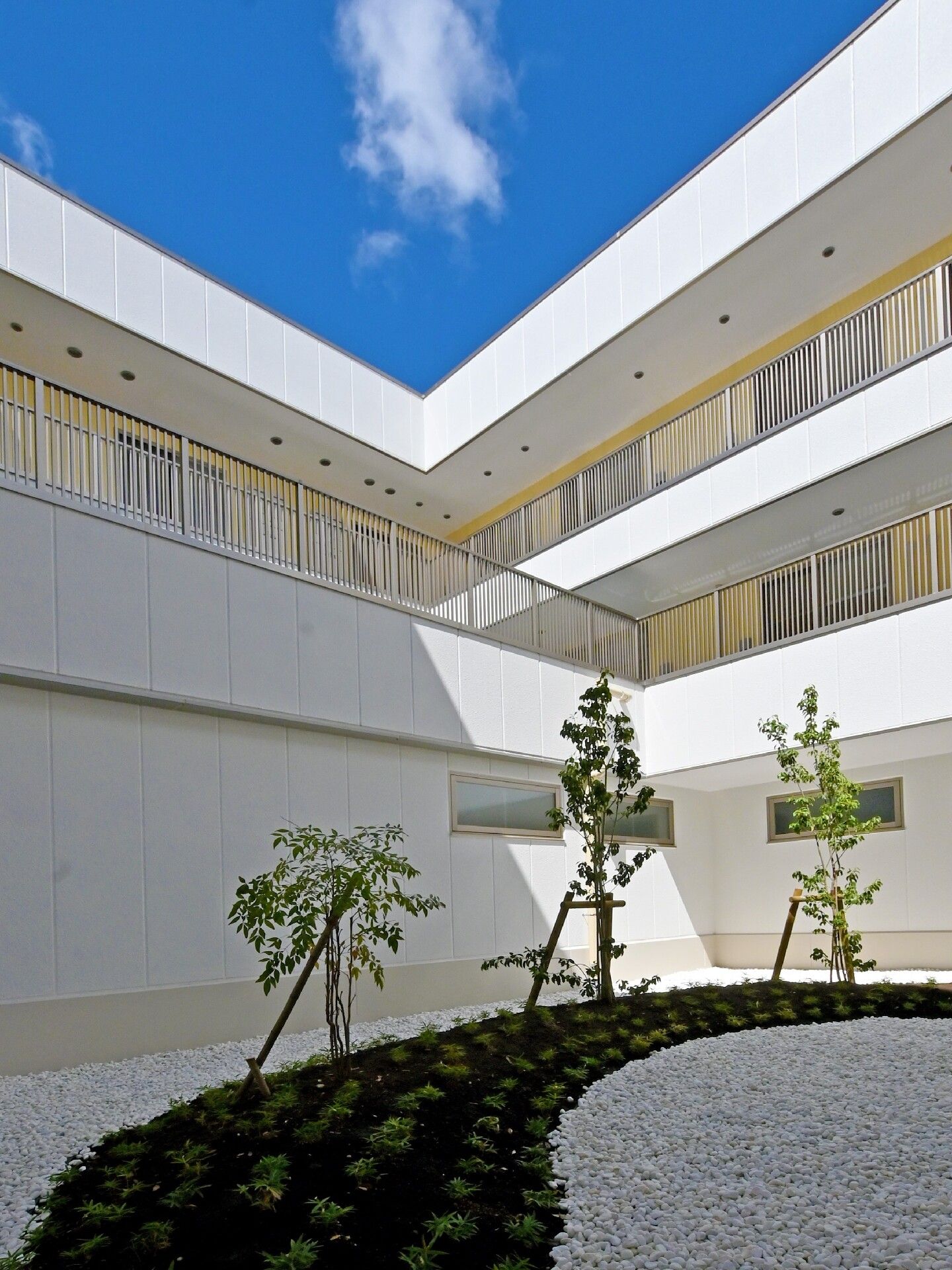 白い建物はエル字型で内側には白と黒の医師が敷き詰められ、添え木で支えられた木が3本ある。