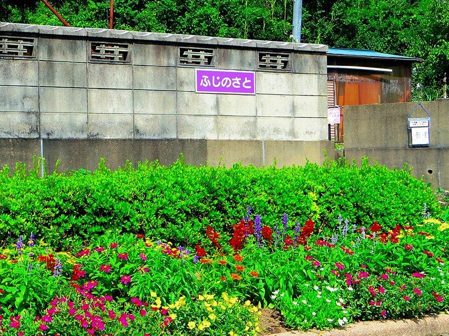施設周辺の石垣の下には緑鮮やかな植物が植えられている