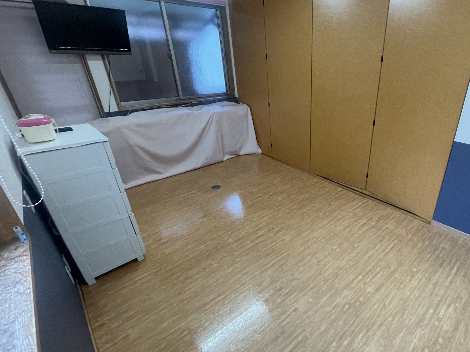 木目調の床と収納