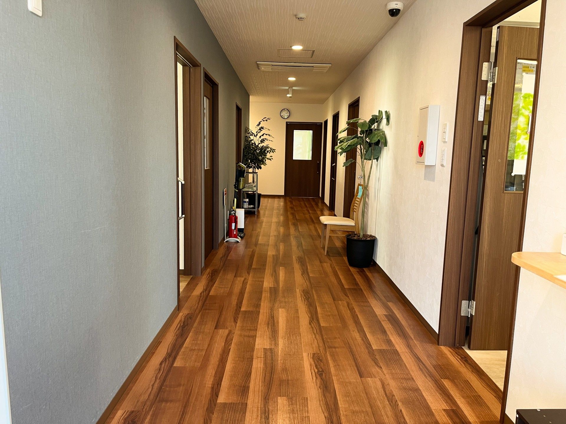 緑の植物が置かれている