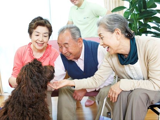 ドッグセラピー