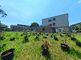 介護施設の明るい庭園