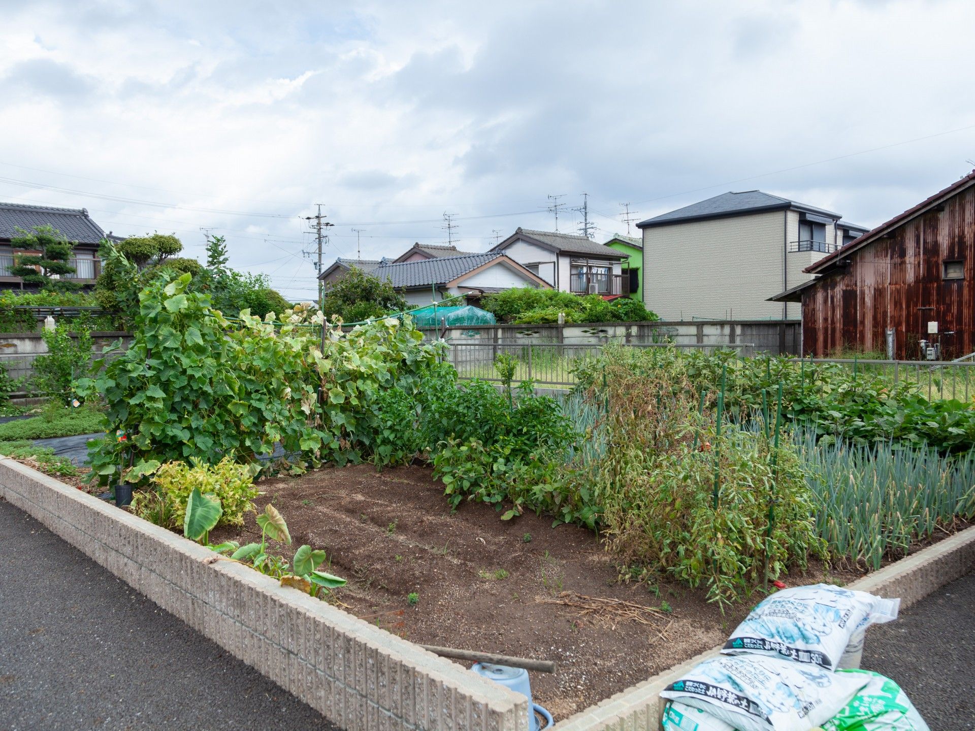 様々なものが植えてある畑