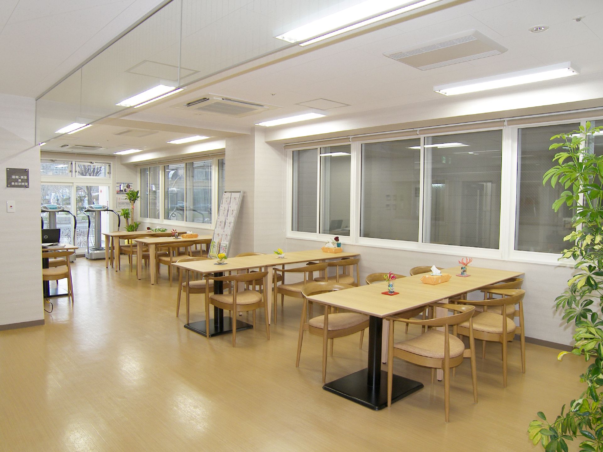 木製のダイニングテーブルが複数置かれた食堂はアットホームな雰囲気。観葉植物が飾られ、大きな窓もついている。